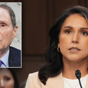 Dem senator calls for Waltz, Hegseth to resign as Gabbard says no classified material shared in Signal