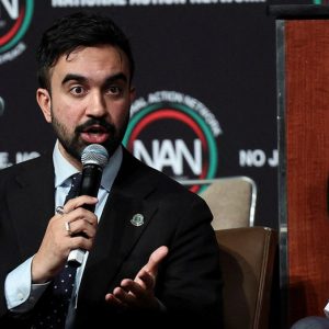 Mamdani-mentum: Who are the other socialist candidates soaring among Democrats